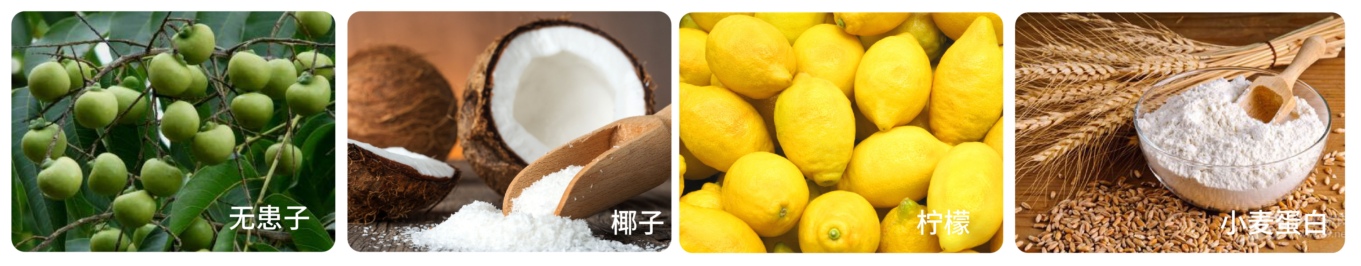 尽最大努力用天然植萃成份取代化学成份 水,椰油酰两性基乙酸钠